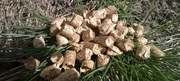 wood pellets for sale by the ton near me