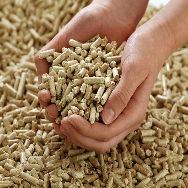 Buy High-Quality Wood Pellets in Bulk from United Kingdom | Land Energy